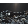 Карманный фонарь ARMYTEK PRIME C2 MAGNET USB теплый свет, 1x18650 (в комплекте)